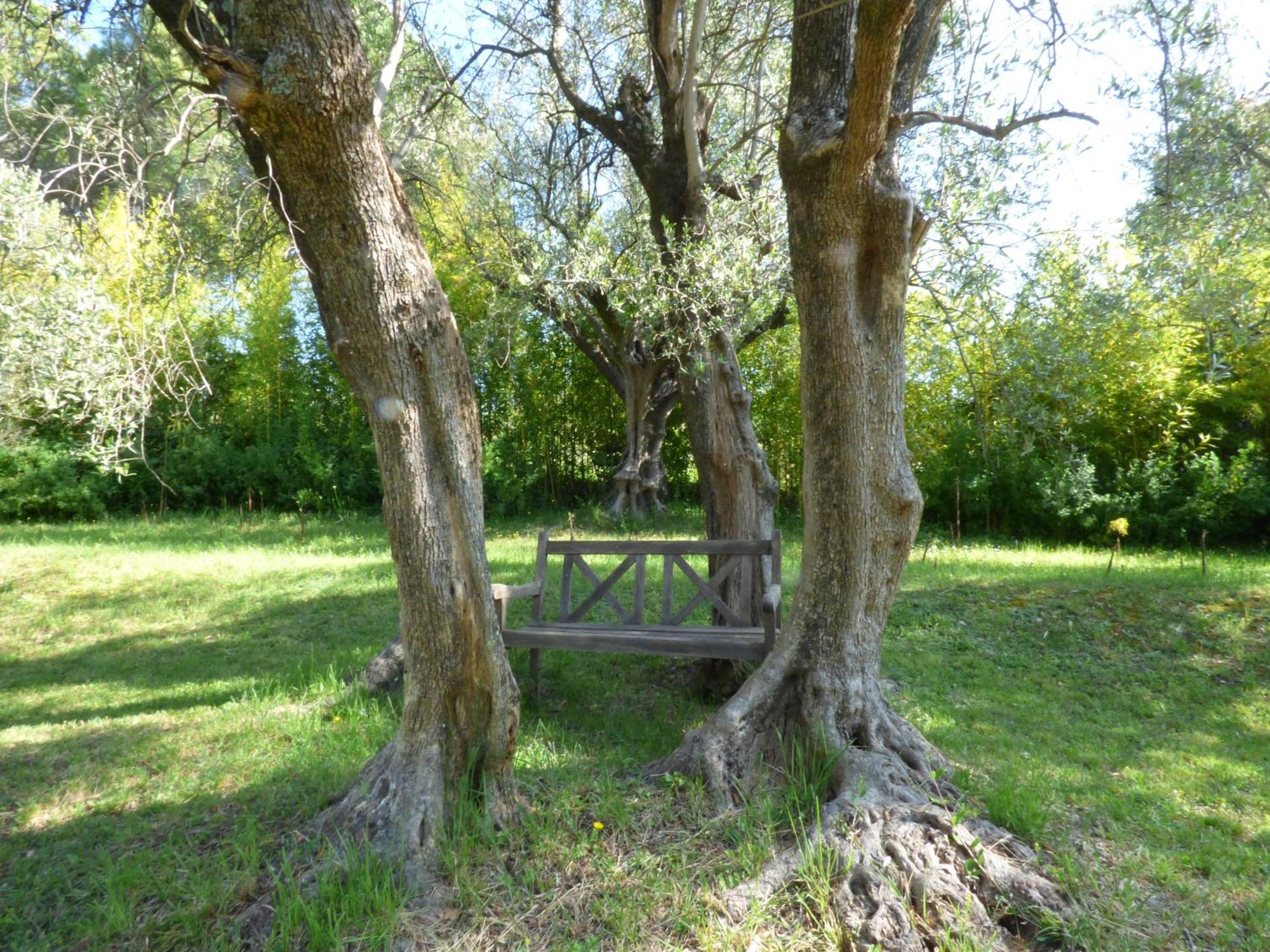 Apartment Cezanne With Heated Pool And Private Garden Chateauneuf-Grasse Exteriör bild