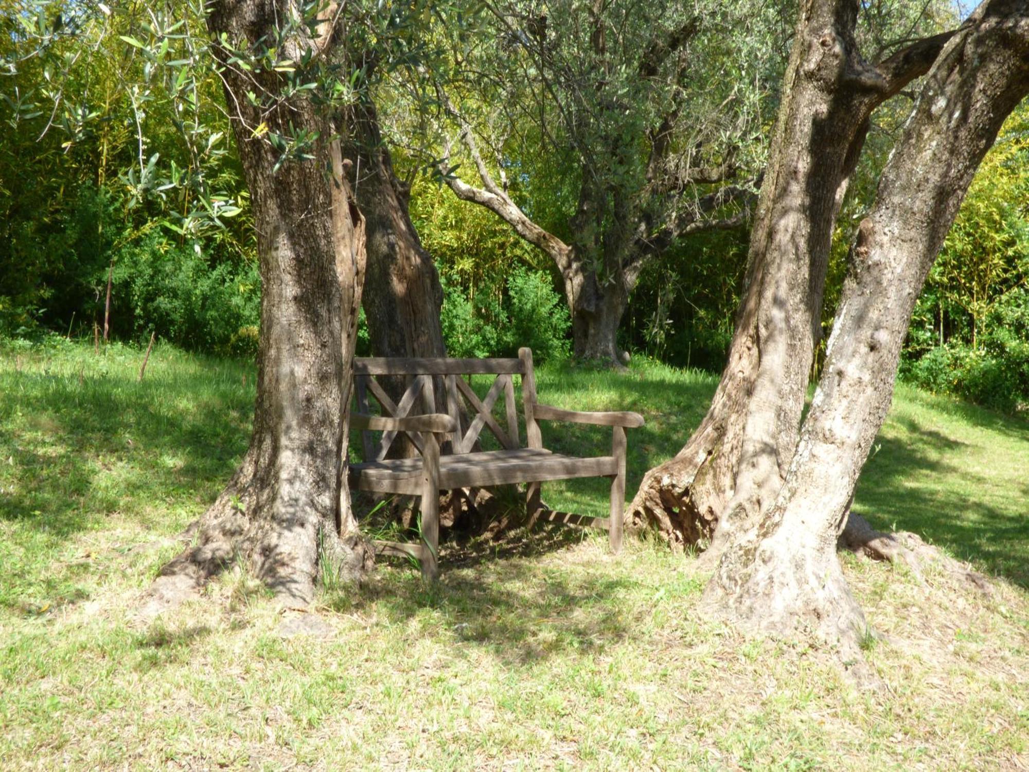 Apartment Cezanne With Heated Pool And Private Garden Chateauneuf-Grasse Exteriör bild