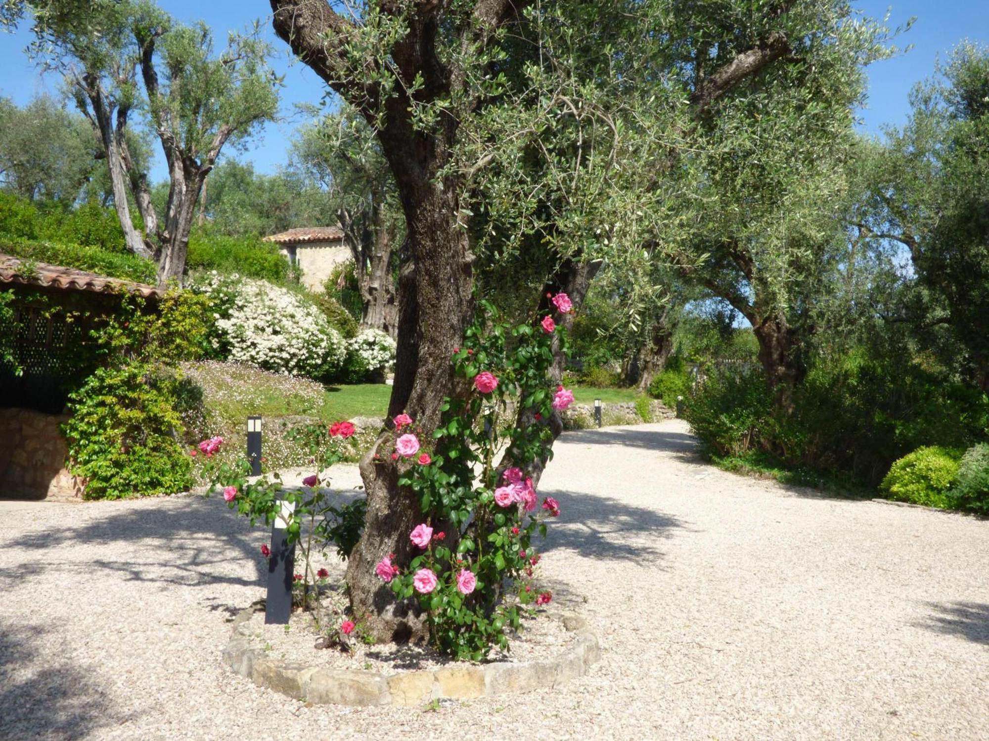Apartment Cezanne With Heated Pool And Private Garden Chateauneuf-Grasse Exteriör bild