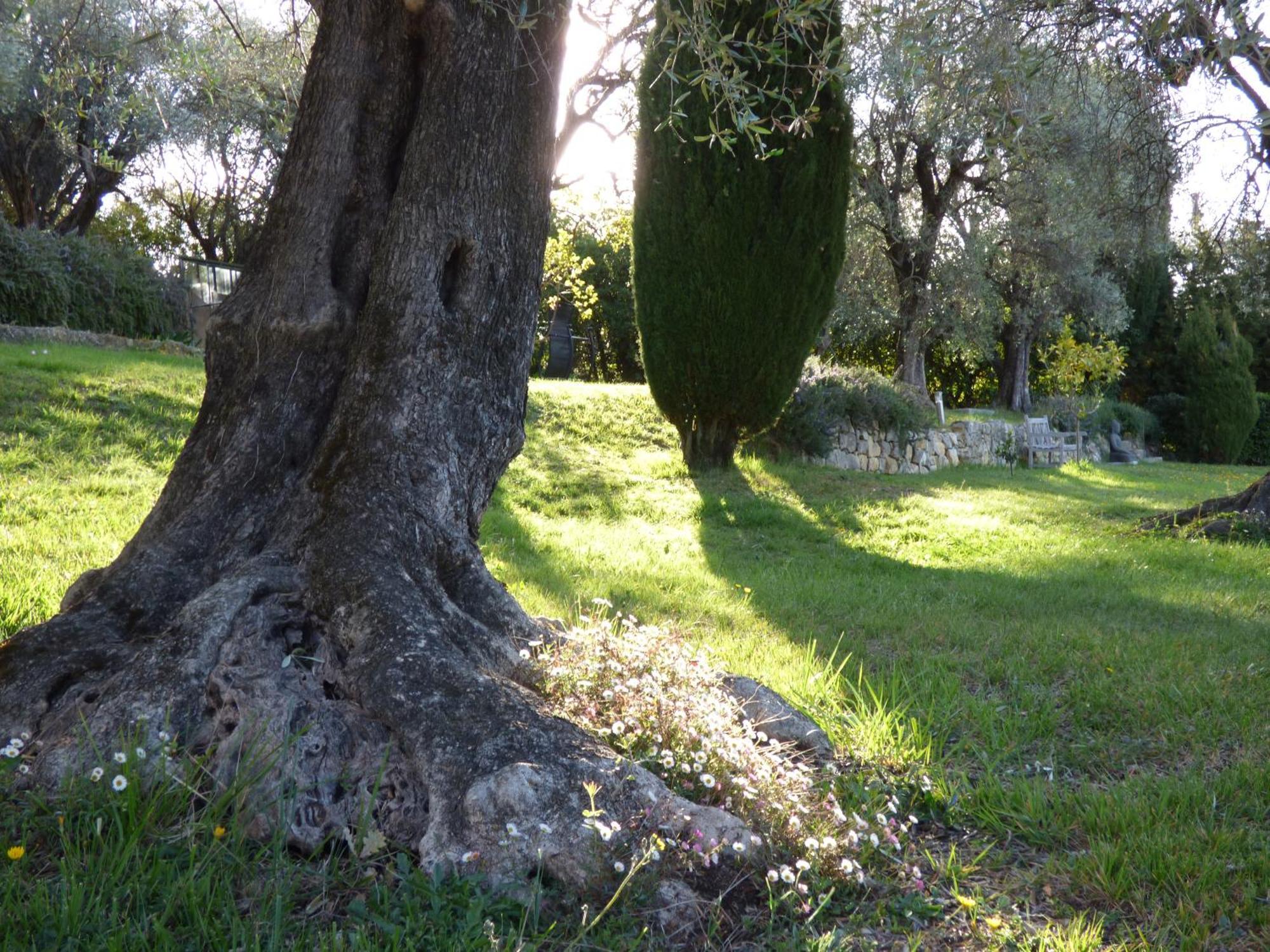 Apartment Cezanne With Heated Pool And Private Garden Chateauneuf-Grasse Exteriör bild